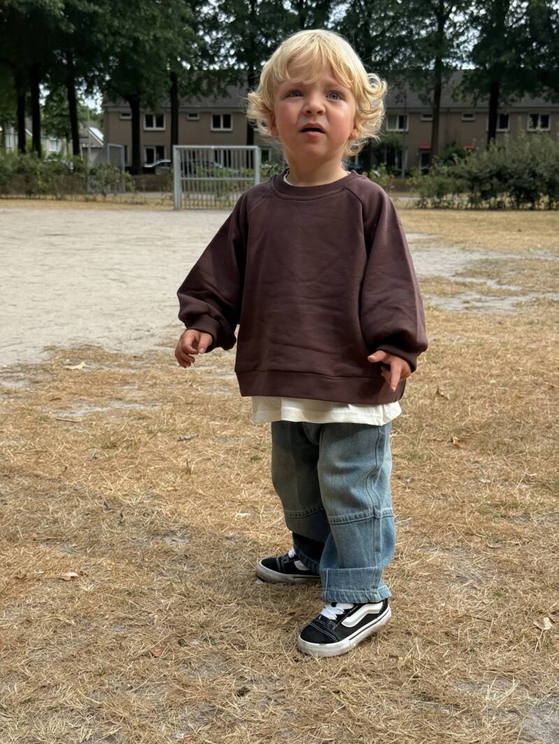 James sweater dark brown