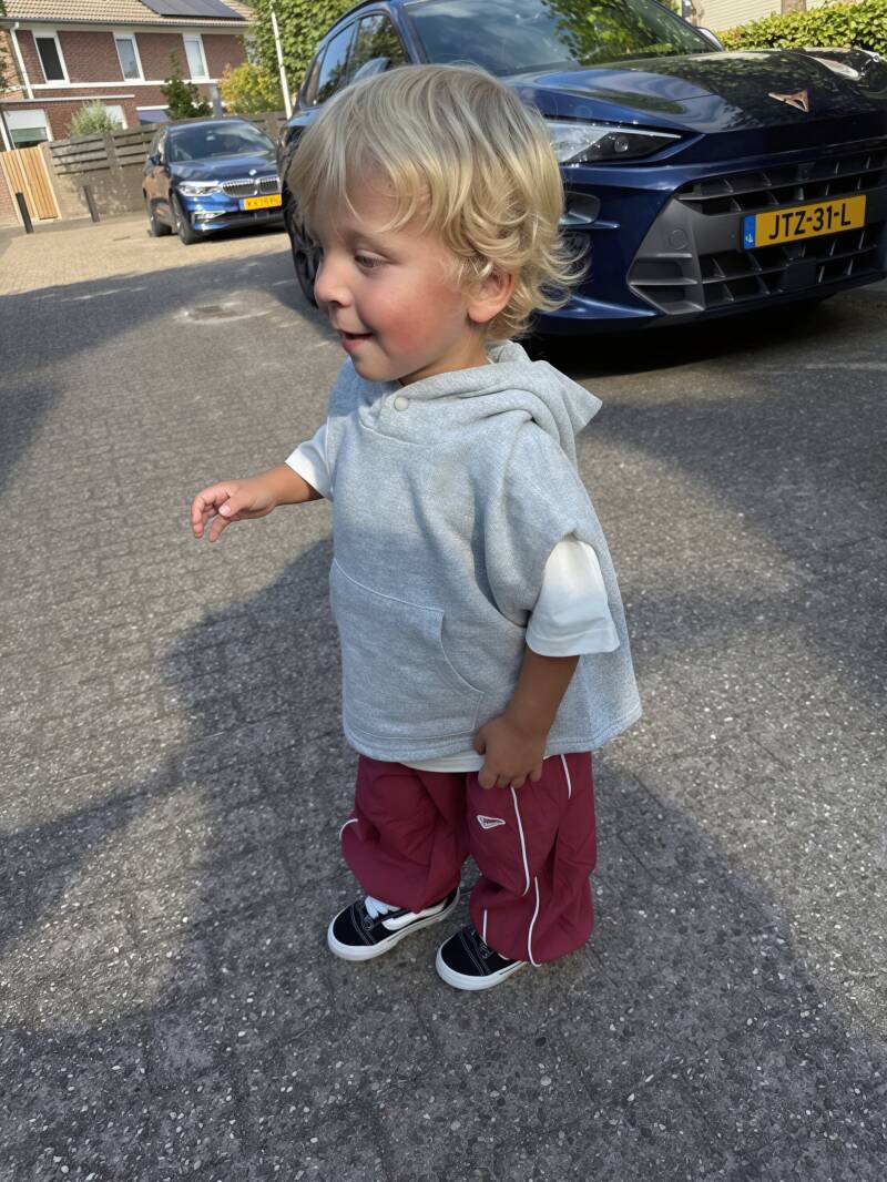 Parachute pants wine red