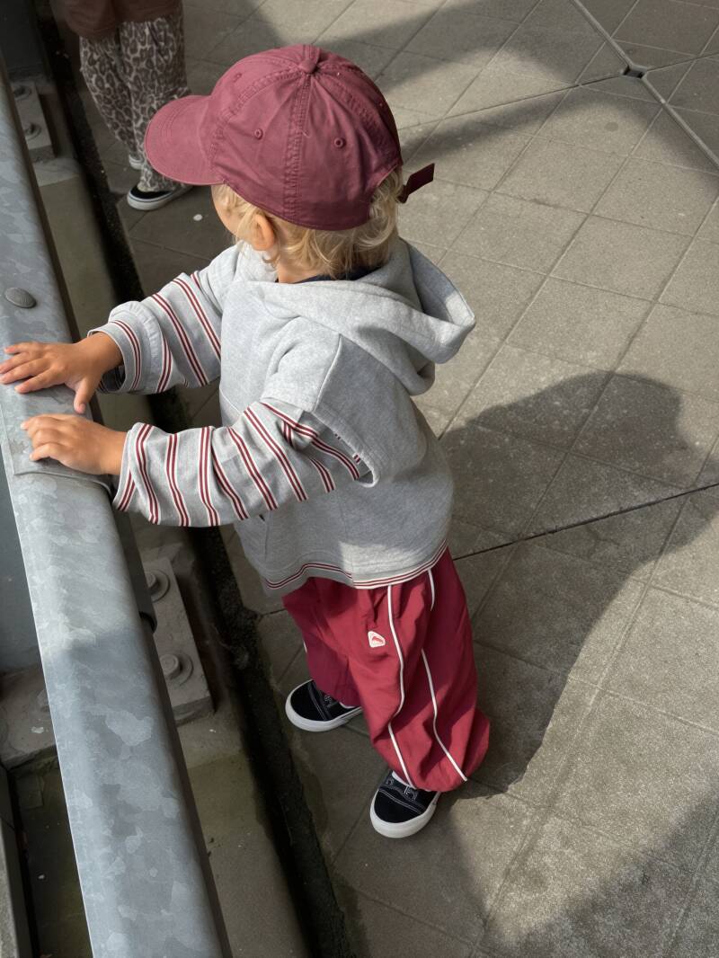 Parachute pants wine red