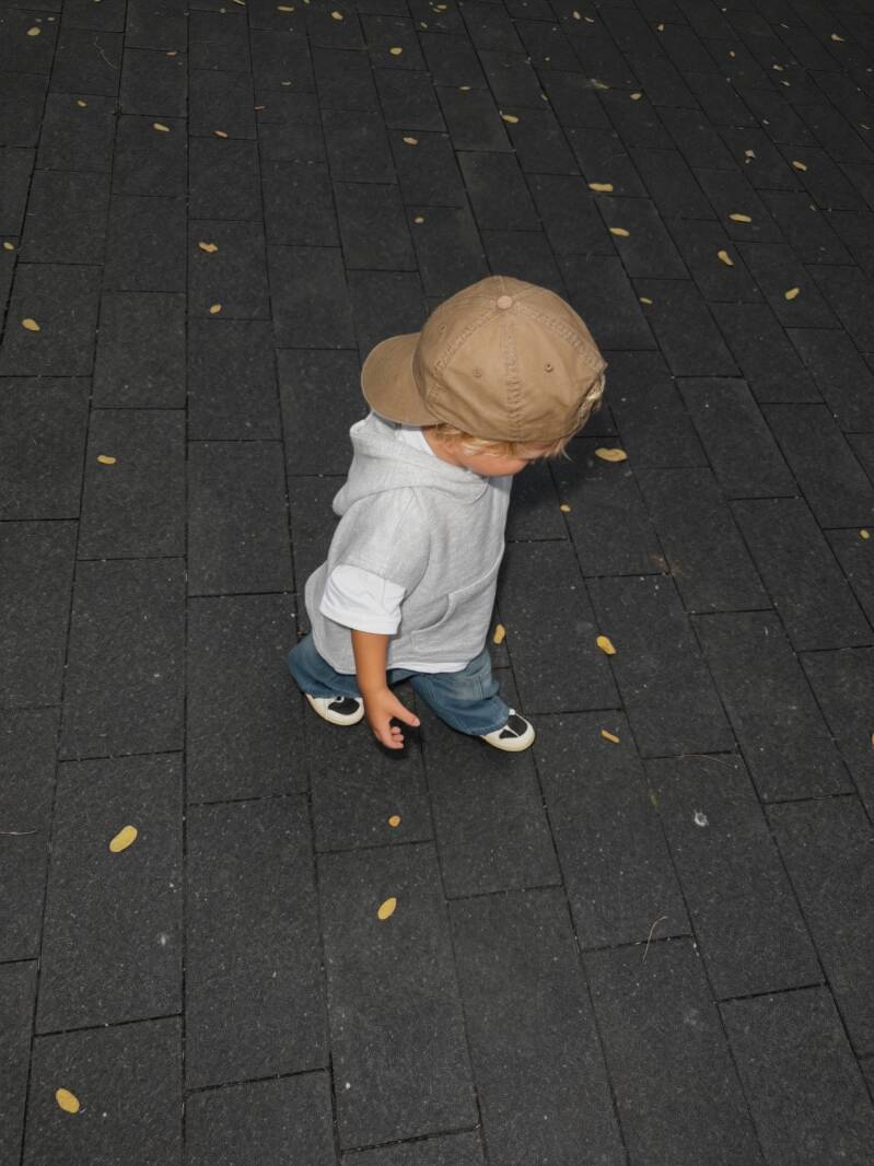 Mees army cap