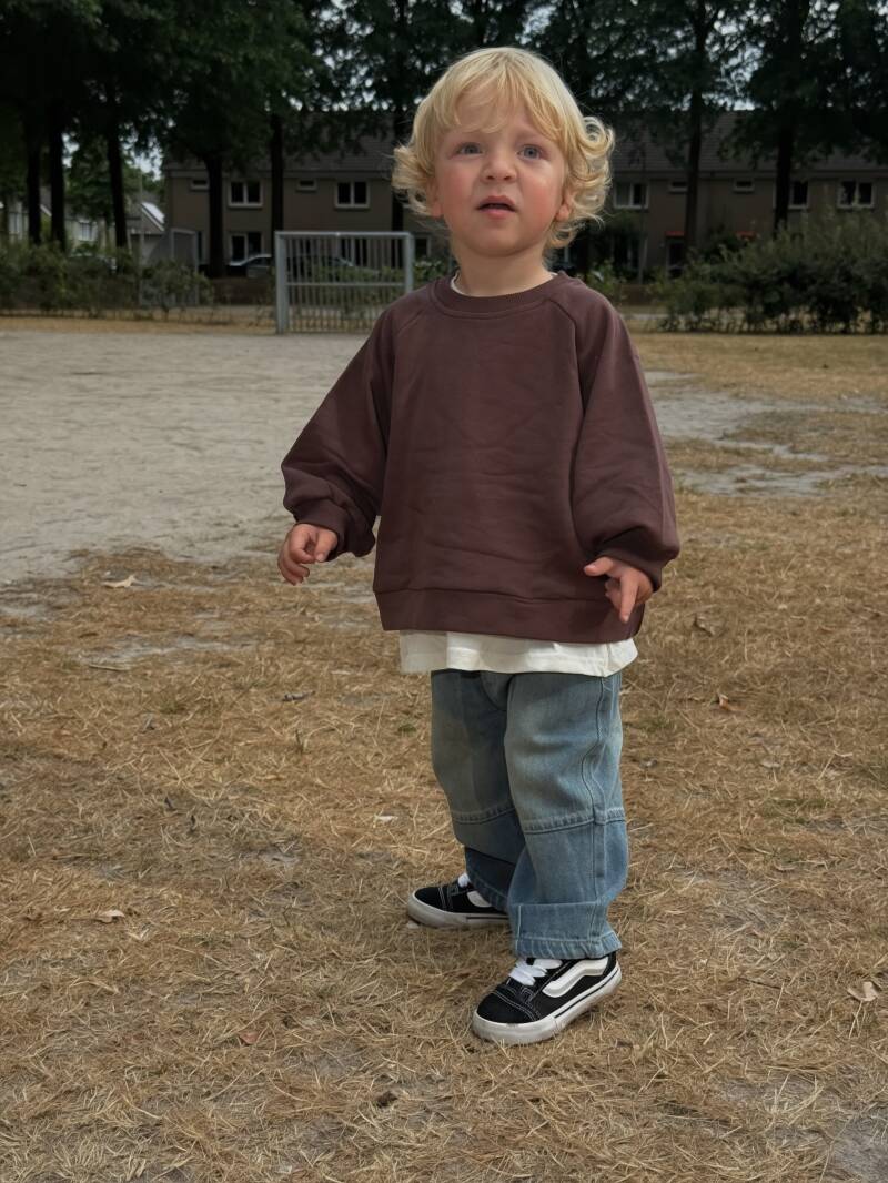 James sweater dark brown